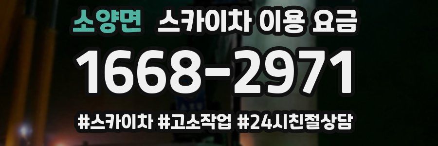 소양면 스카이차 이용 요금