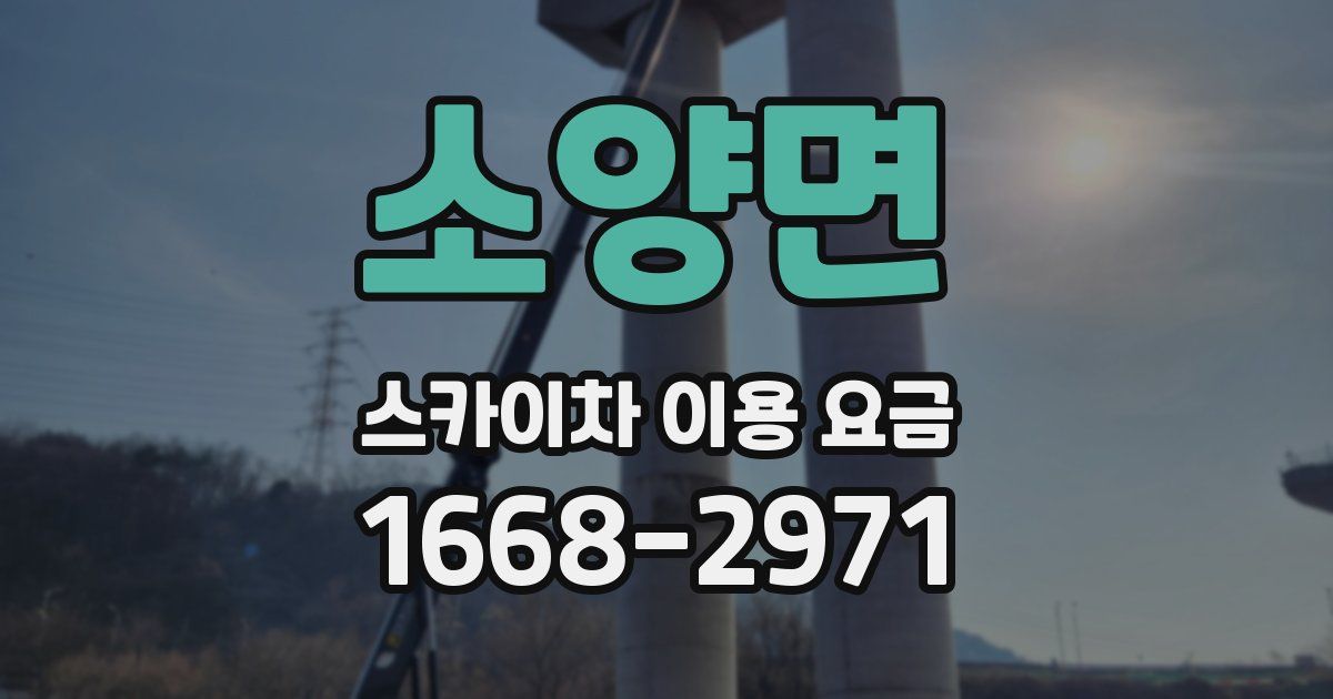 소양면 스카이차 이용 요금