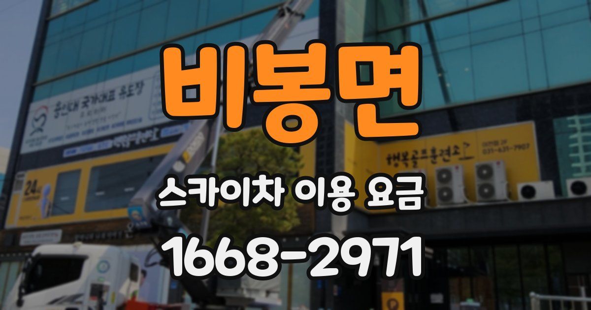 비봉면 스카이차 이용 요금