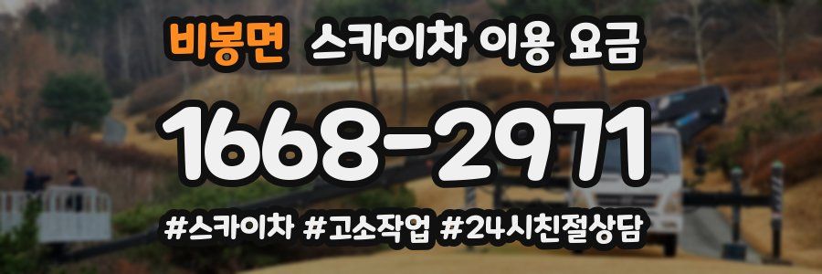 비봉면 스카이차 이용 요금