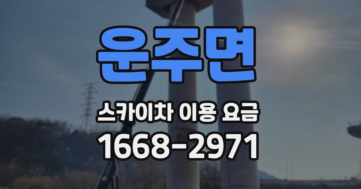 운주면 스카이차 이용 요금