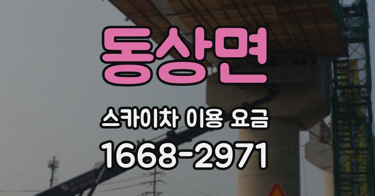동상면 스카이차 이용 요금