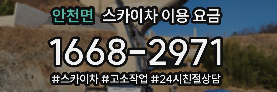 안천면 스카이차 이용 요금