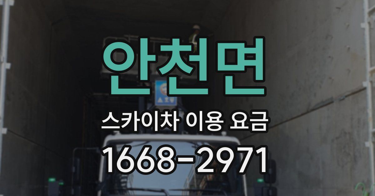 안천면 스카이차 이용 요금