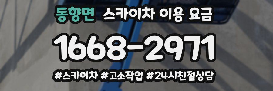 동향면 스카이차 이용 요금