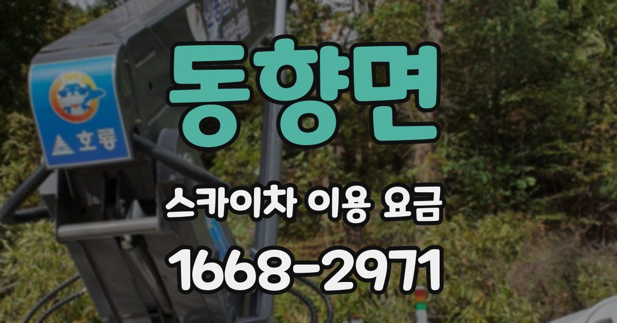 동향면 스카이차 이용 요금