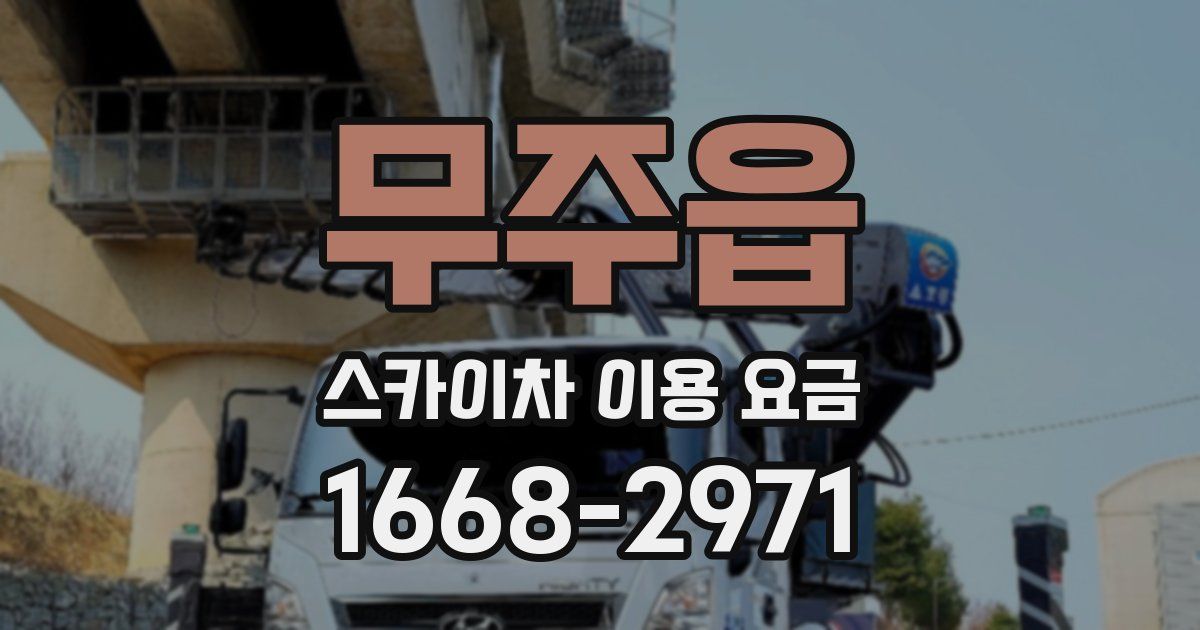 무주읍 스카이차 이용 요금