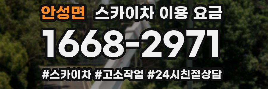 안성면 스카이차 이용 요금