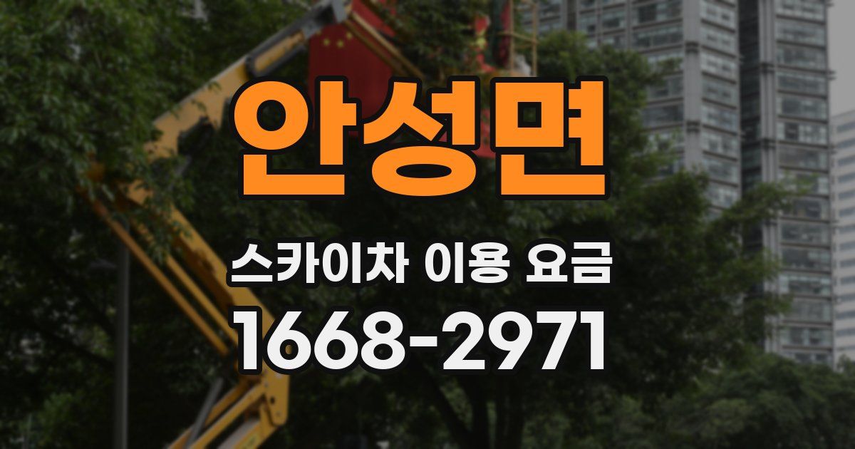 안성면 스카이차 이용 요금