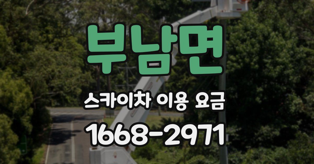부남면 스카이차 이용 요금