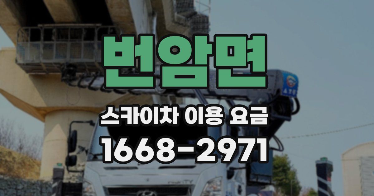 번암면 스카이차 이용 요금