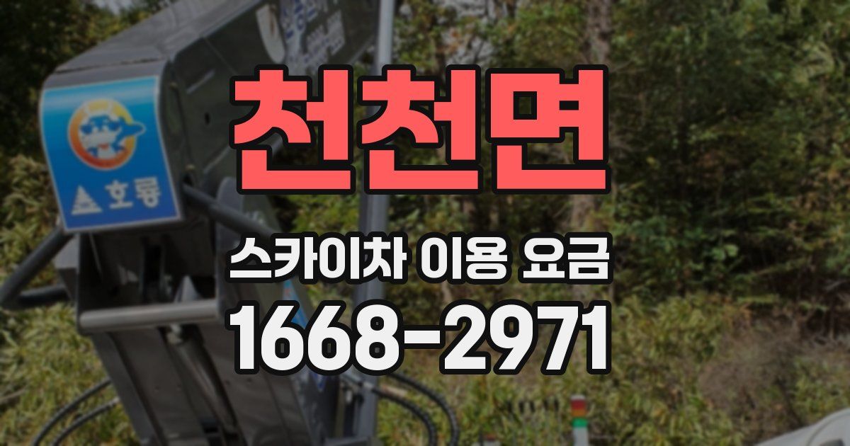 천천면 스카이차 이용 요금