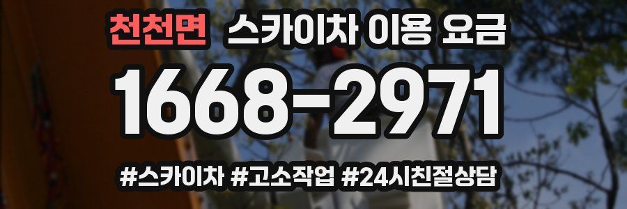 천천면 스카이차 이용 요금