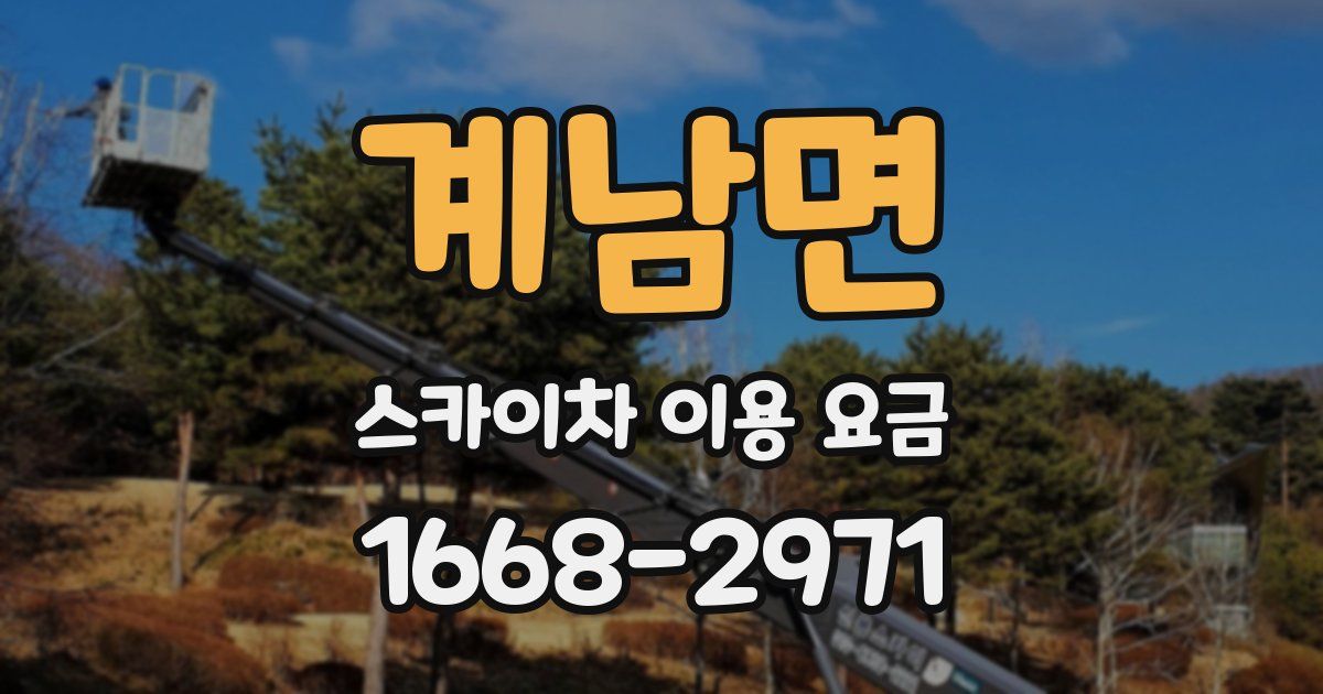 계남면 스카이차 이용 요금