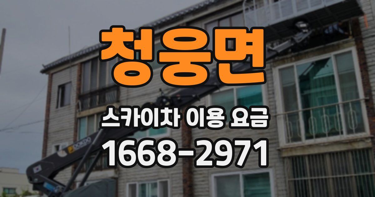 청웅면 스카이차 이용 요금