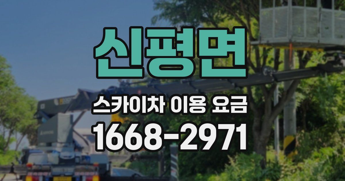신평면 스카이차 이용 요금