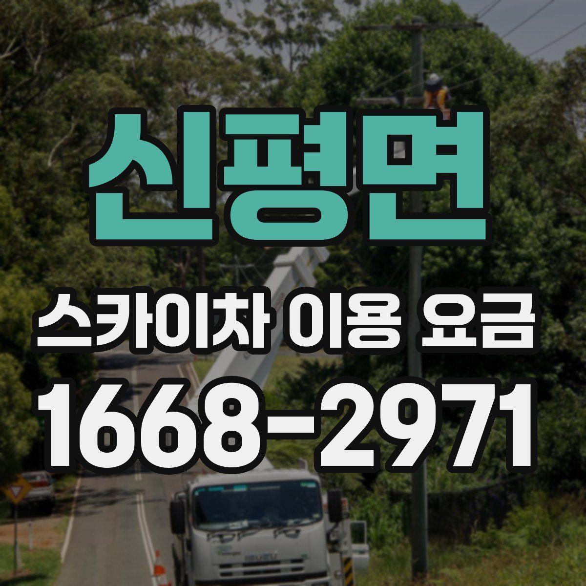 신평면 스카이차 이용 요금