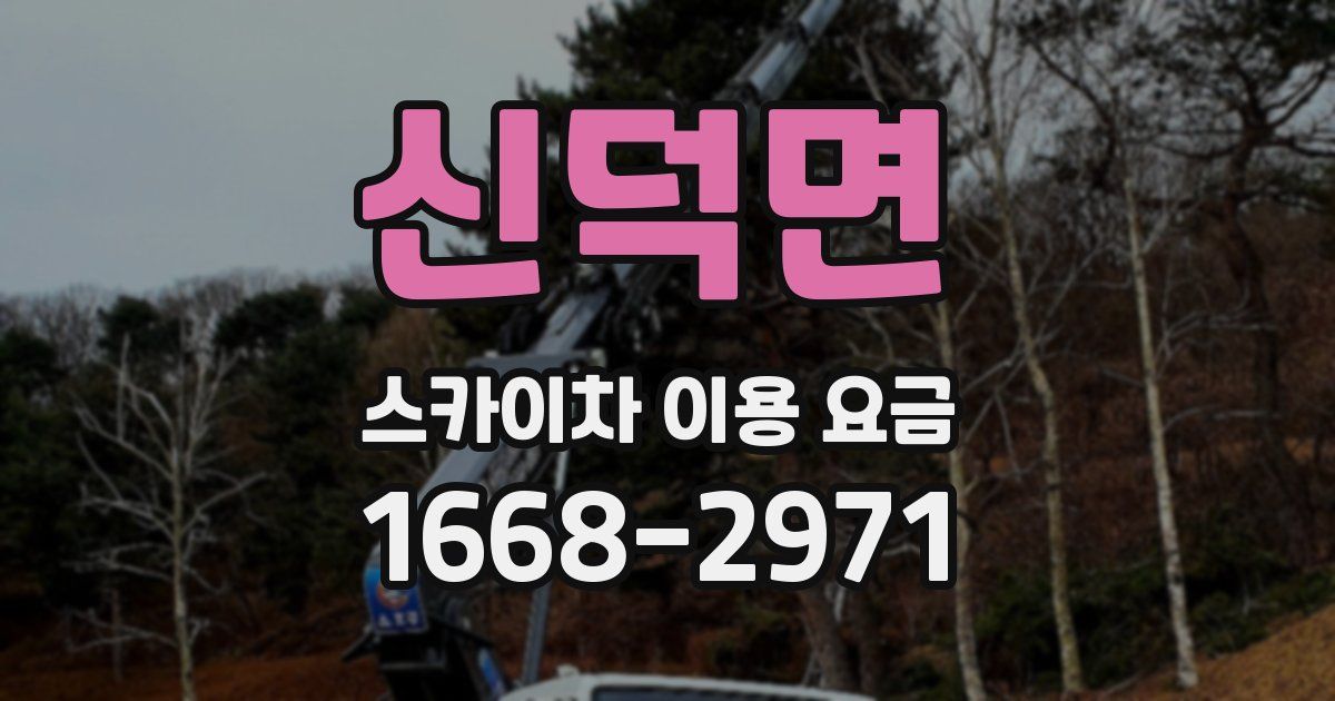 신덕면 스카이차 이용 요금