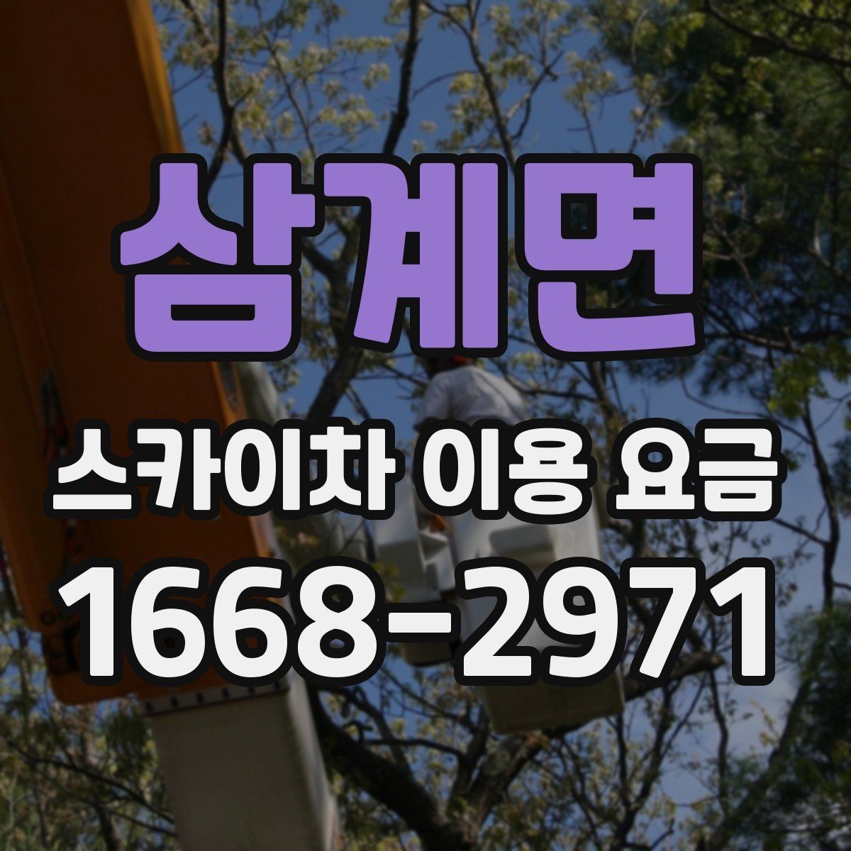 삼계면 스카이차 이용 요금 비교할 때 놓치기 쉬운 포인트