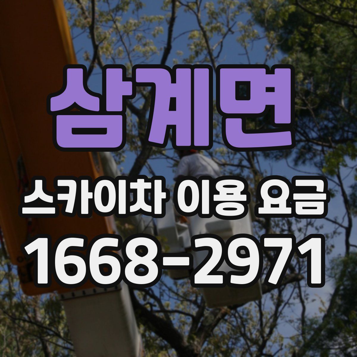 삼계면 스카이차 이용 요금