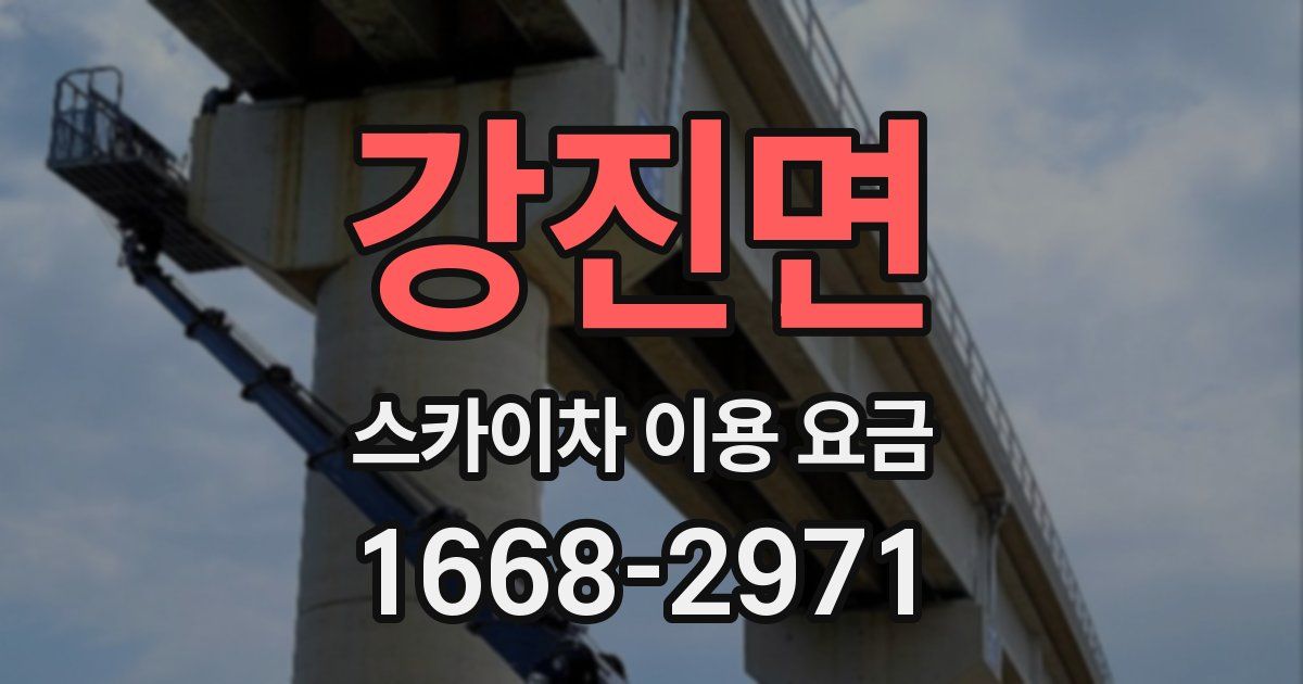 강진면 스카이차 이용 요금