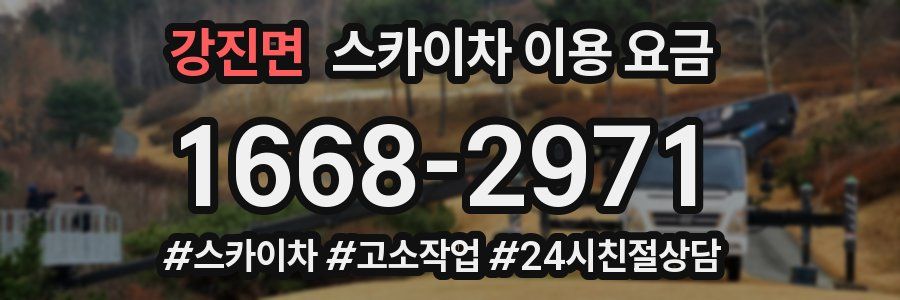 강진면 스카이차 이용 요금