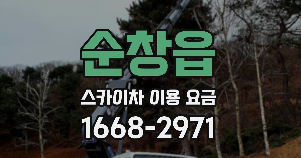 순창읍 스카이차 이용 요금