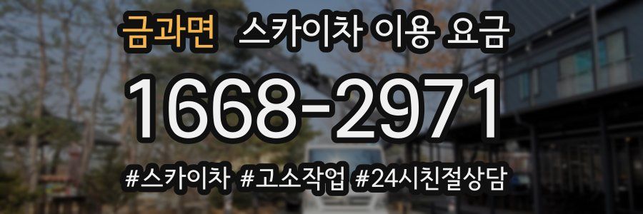 금과면 스카이차 이용 요금