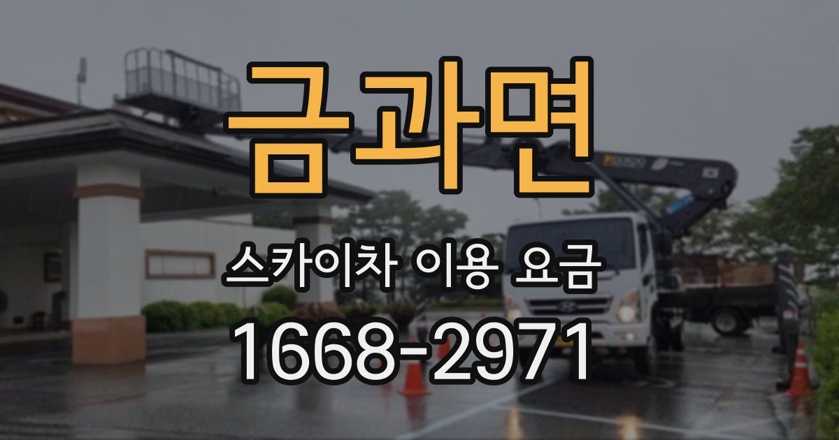 금과면 스카이차 이용 요금