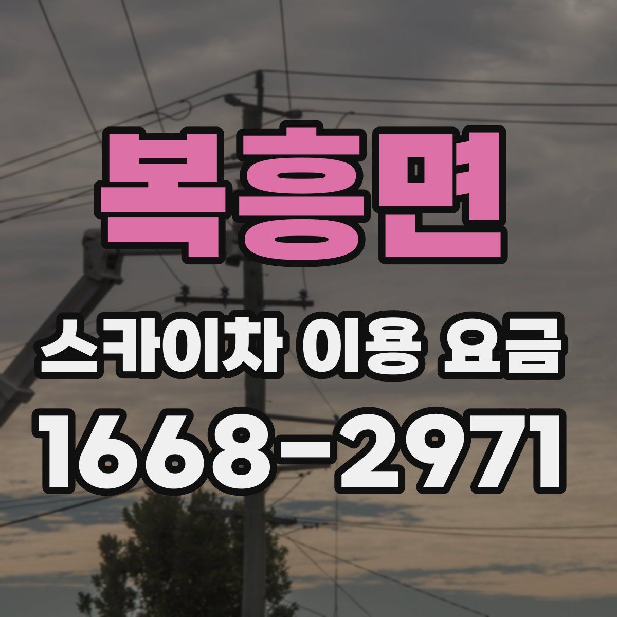 복흥면 스카이차 이용 요금