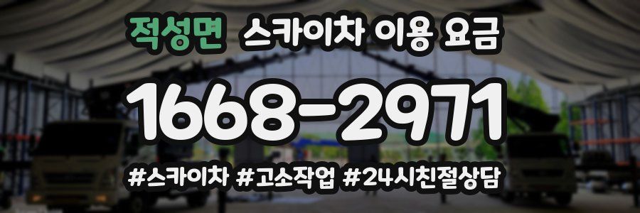 적성면 스카이차 이용 요금