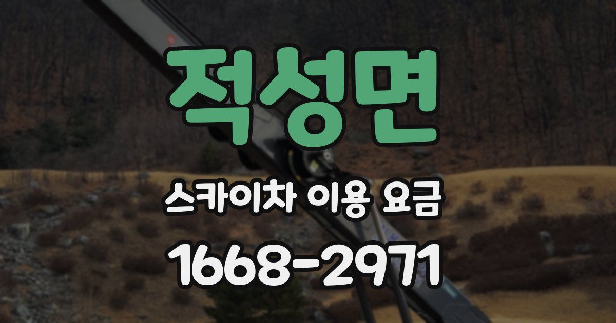 적성면 스카이차 이용 요금