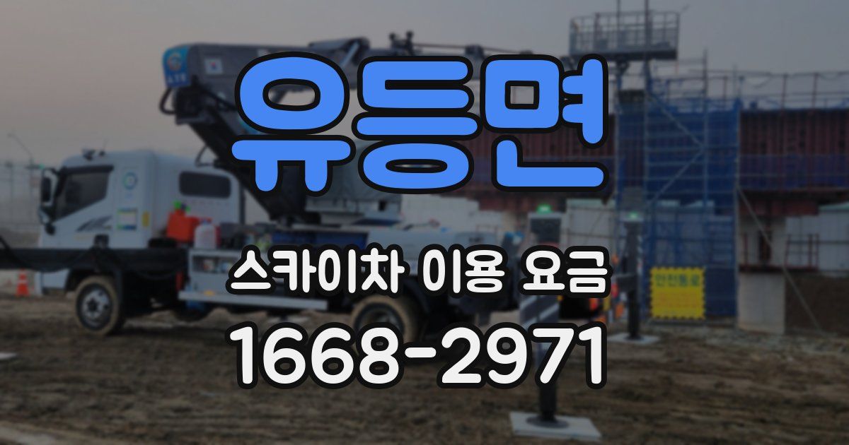 유등면 스카이차 이용 요금