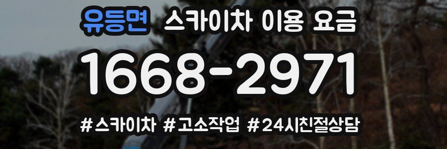 유등면 스카이차 이용 요금