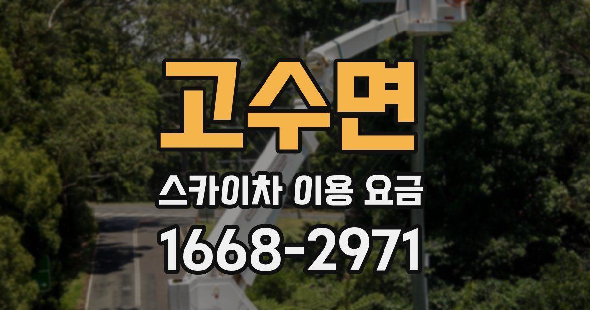 고수면 스카이차 이용 요금