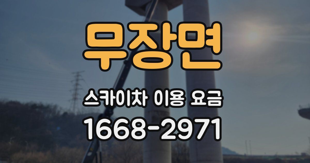 무장면 스카이차 이용 요금