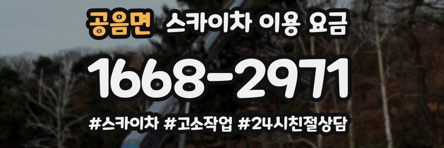 공음면 스카이차 이용 요금
