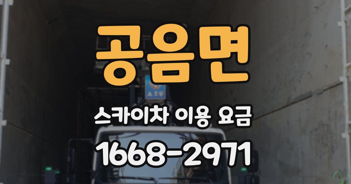 공음면 스카이차 이용 요금