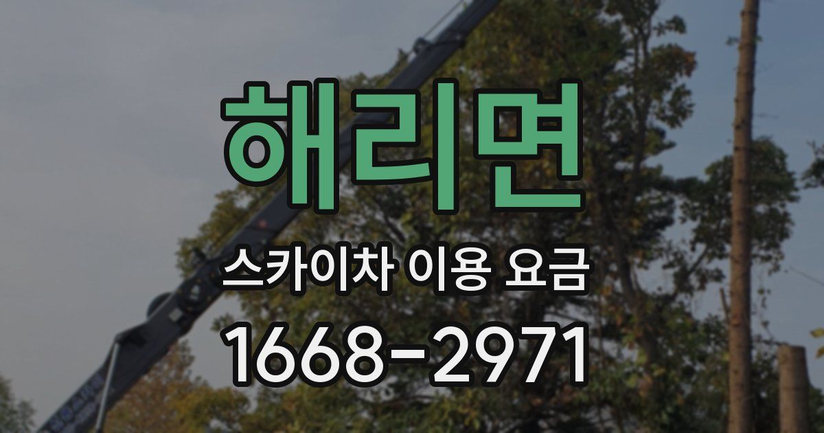 해리면 스카이차 이용 요금