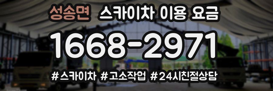 성송면 스카이차 이용 요금