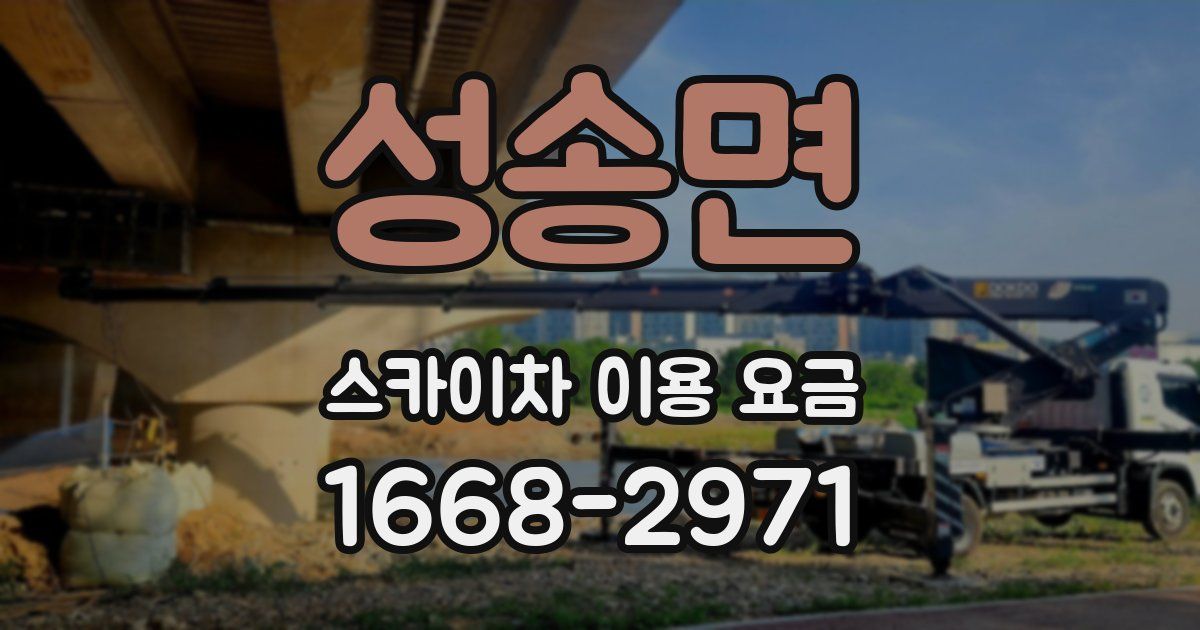 성송면 스카이차 이용 요금