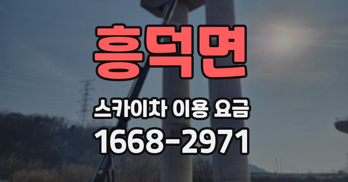 흥덕면 스카이차 이용 요금