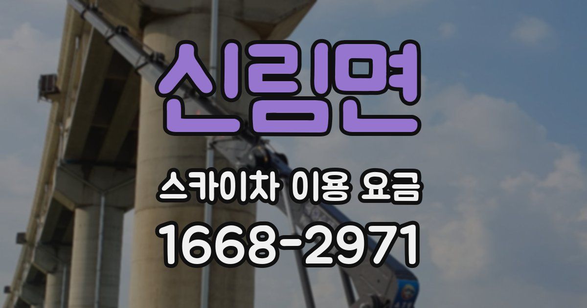 신림면 스카이차 이용 요금