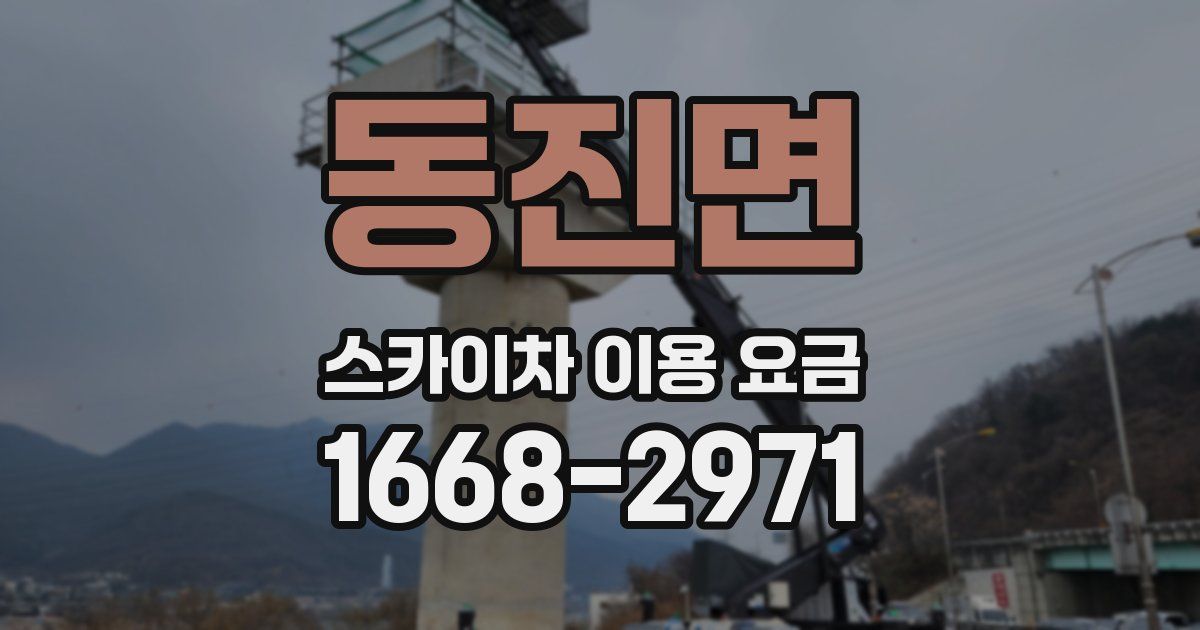 동진면 스카이차 이용 요금