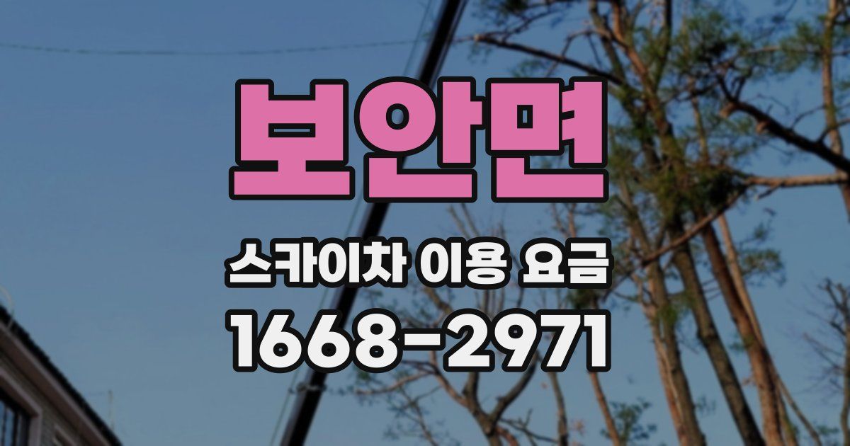 보안면 스카이차 이용 요금