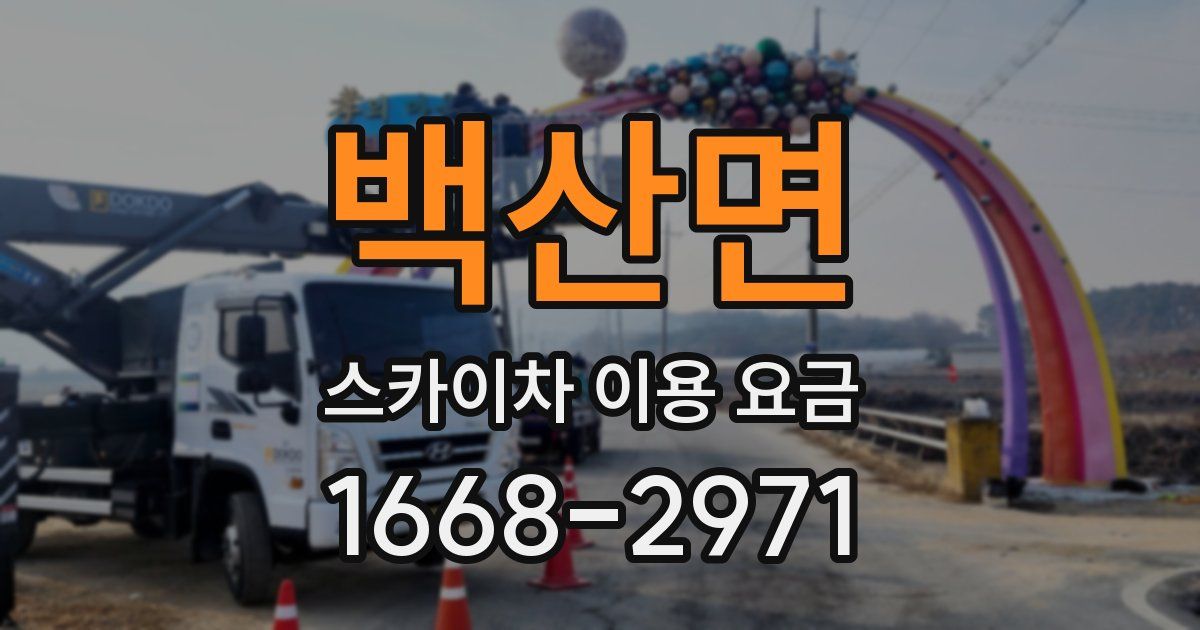 백산면 스카이차 이용 요금