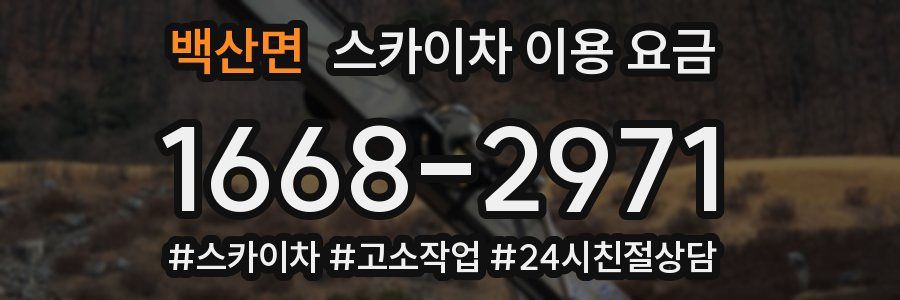 백산면 스카이차 이용 요금
