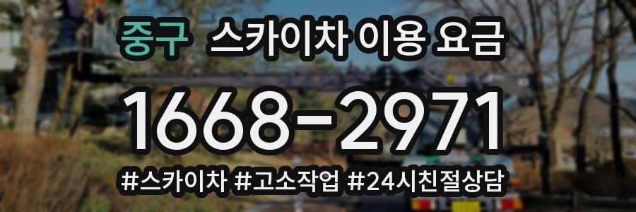 중구 스카이차 이용 요금