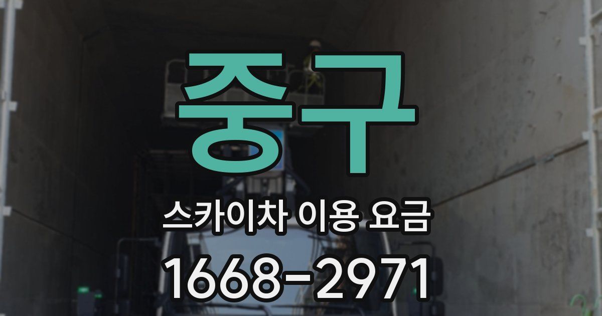 중구 스카이차 이용 요금