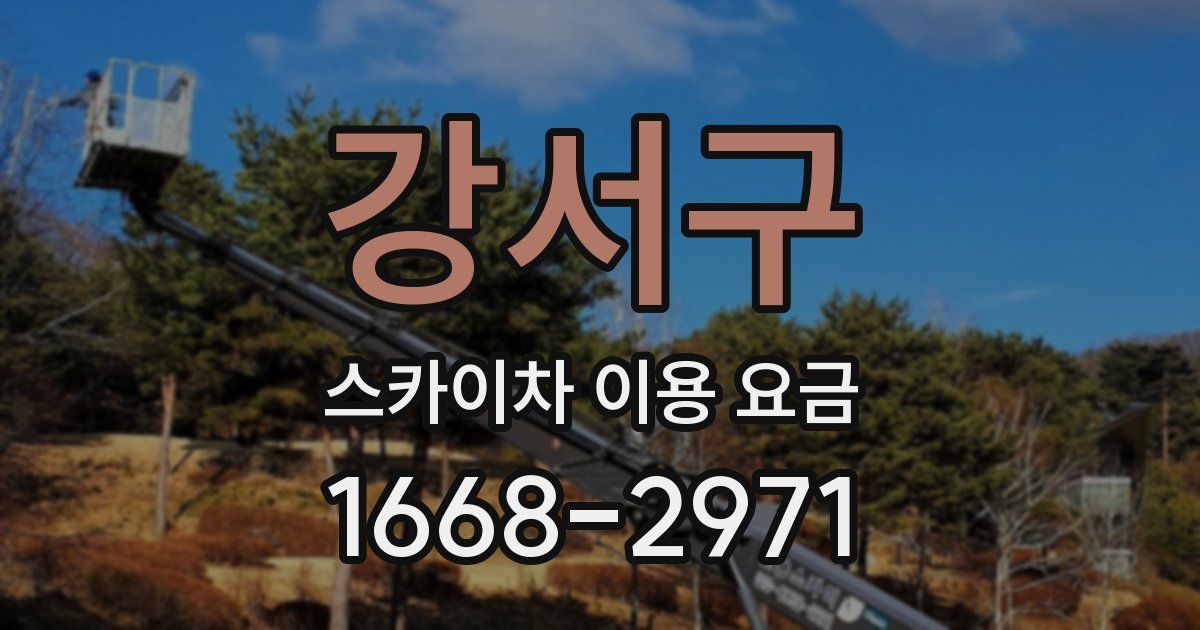 강서구 스카이차 이용 요금